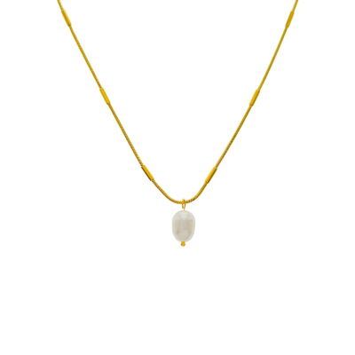 Collar Brandy