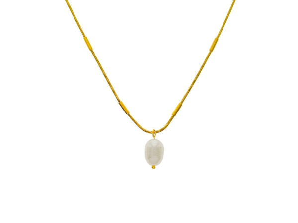 Collar Brandy