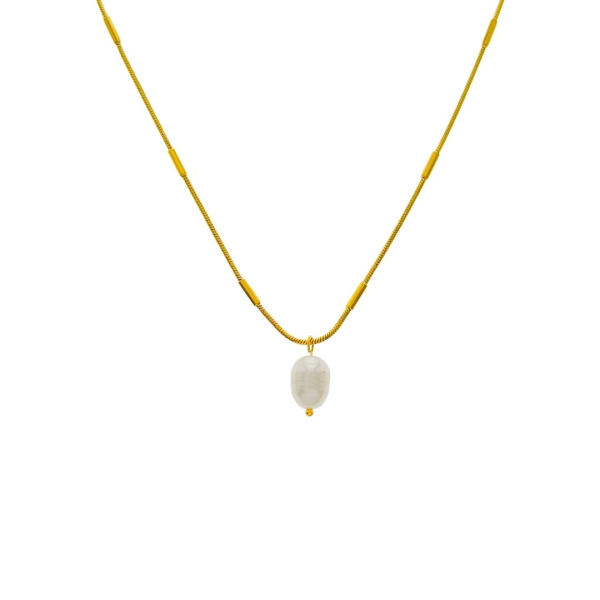 Collar Brandy